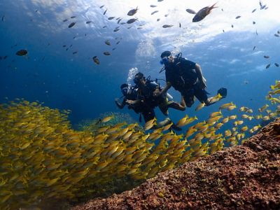 scuba-diving-thailand