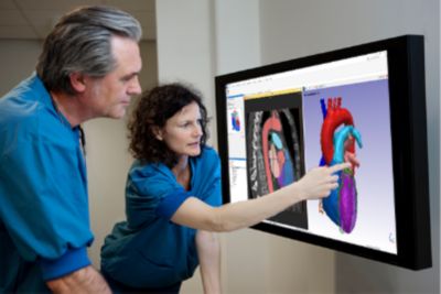 Ansys Simpleware Medical