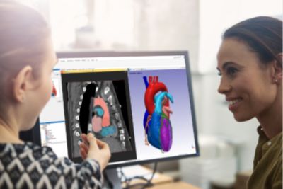 Ansys Simpleware Medical