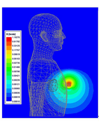 图1所示。人体、心脏和磁体的磁场叠加图侧视图