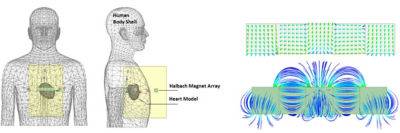 图2(左):人体、心脏和磁铁模型的正视图和侧视图。图3(右):磁体内磁化方向