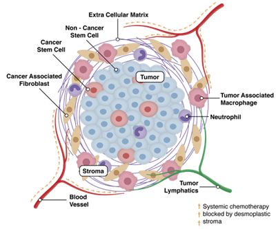 simulation-optimizes-chemotherapy-implant-treat-pancreatic-cancer-1.png