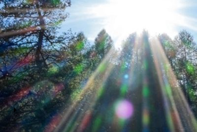Speos stray light
