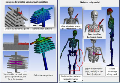 Simple spine models