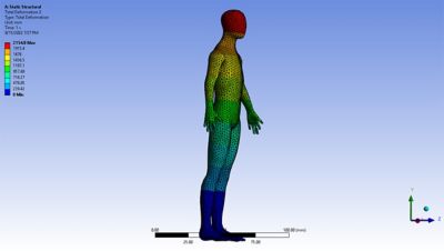 Mechanical spine and pressure point stress