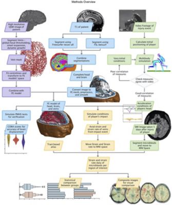 study-methods