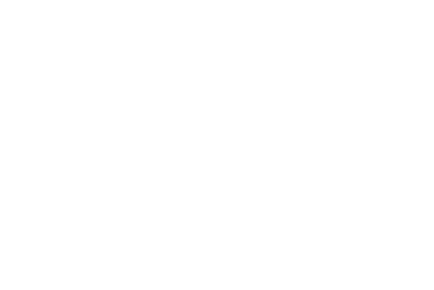 synopsys.png