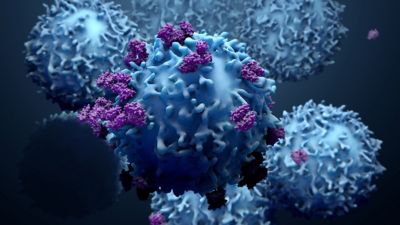 t-cell-killing-adobestock-259048293-en-sartorius