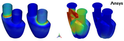 wall shear stress