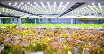  Vertical Farming is Coming to a Store Near You