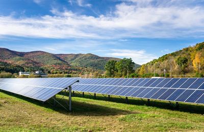 solar panels in a field