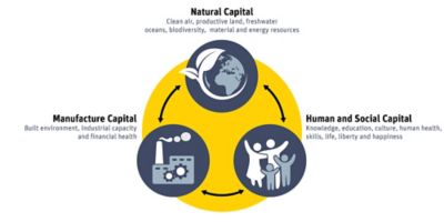 what-is-social-life-cycle-assessment-sustainability-capital.jpg