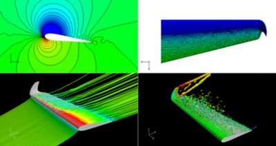 Wing Simulations