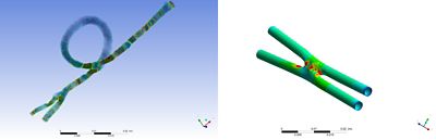 YourAnastomosis banner